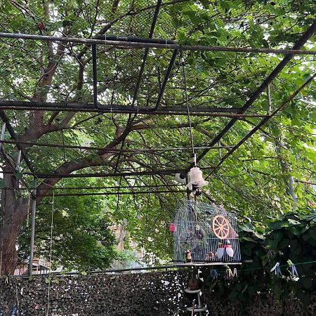 3 Room Flat In Тбилиси Экстерьер фото
